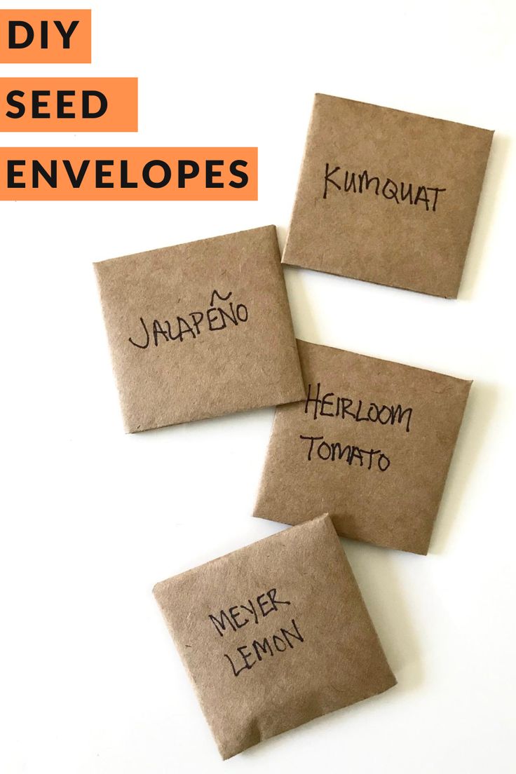 four pieces of brown paper with writing on them and the words, diy seed envelopes