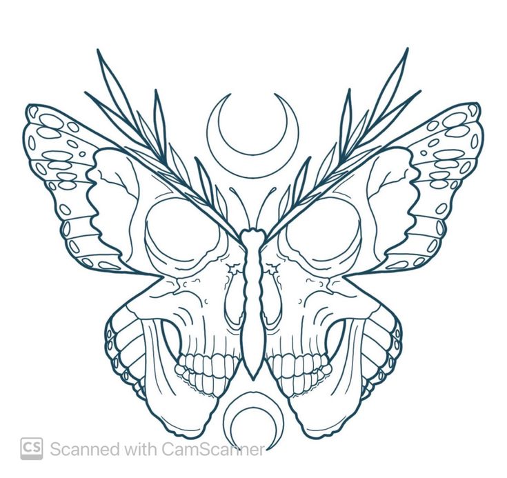 a drawing of a butterfly with two skulls on it's wings and the moon in the background