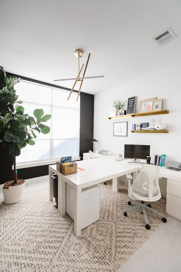 an office with a desk, chair and potted plant