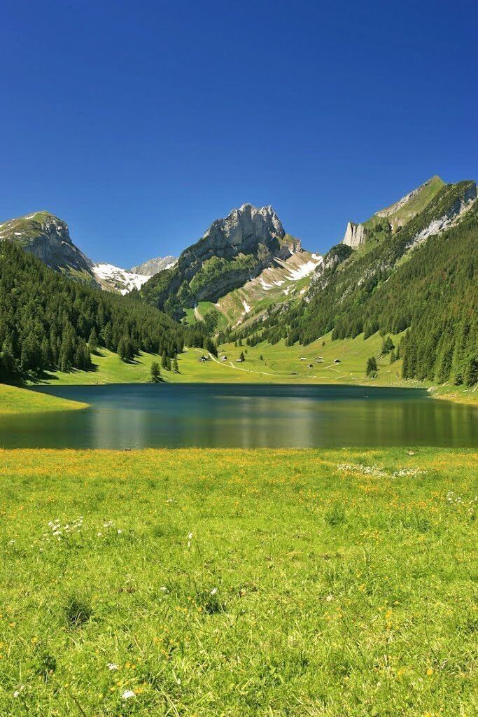 the mountains are covered in snow and green grass, with a lake surrounded by trees