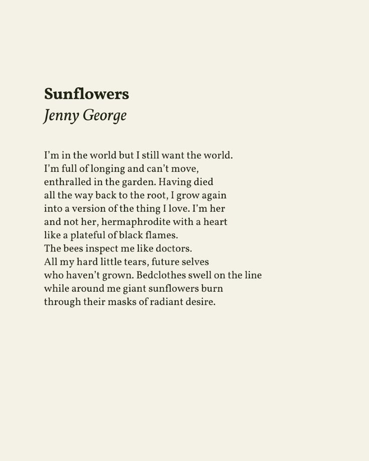 Sunflowers

I’m in the world but I still want the world.
I’m full of longing and can’t move,
enthralled in the garden. Having died 
all the way back to the root, I grow again 
into a version of the thing I love. I’m her 
and not her, hermaphrodite with a heart 
like a plateful of black flames.
The bees inspect me like doctors. 
All my hard little tears, future selves 
who haven’t grown. Bedclothes swell on the line
while around me giant sunflowers burn
through their masks of radiant desire. Poems About Time, Artistic Poetry, Slam Poems, Time Poem, Poem A Day, American Poets, The Way Back, Passion Project, More Words