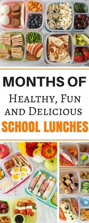 an image of school lunches with the title months of healthy fun and delicious school lunches