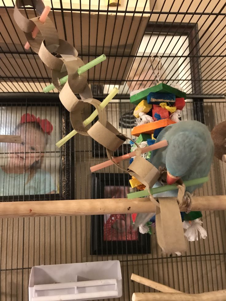 a bird cage filled with lots of toys