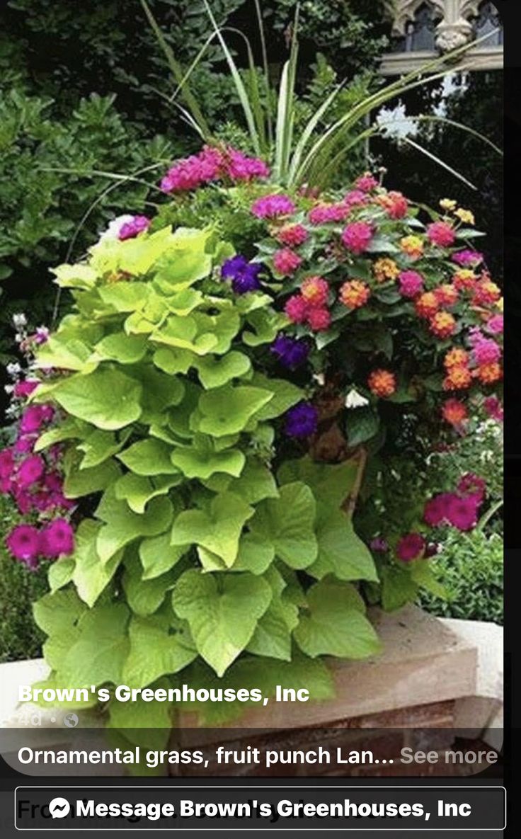 a planter filled with lots of colorful flowers