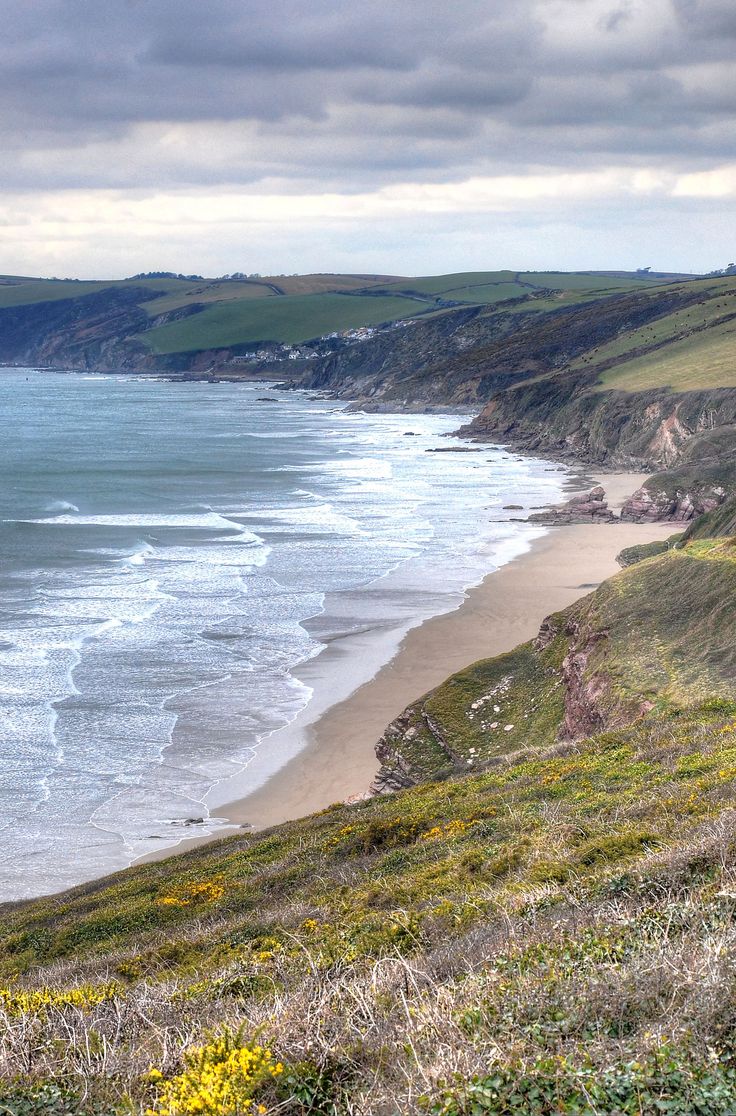 an ocean view from the top of a hill with wildflowers growing on it