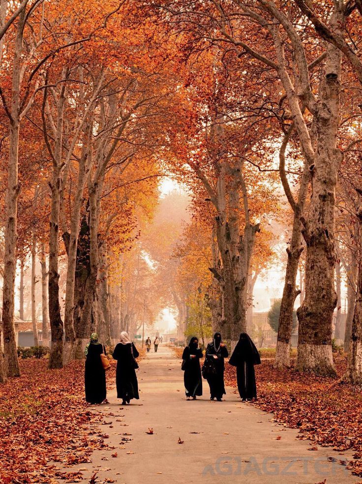 three women in black robes walk down a path lined with trees and leaves on an autumn day