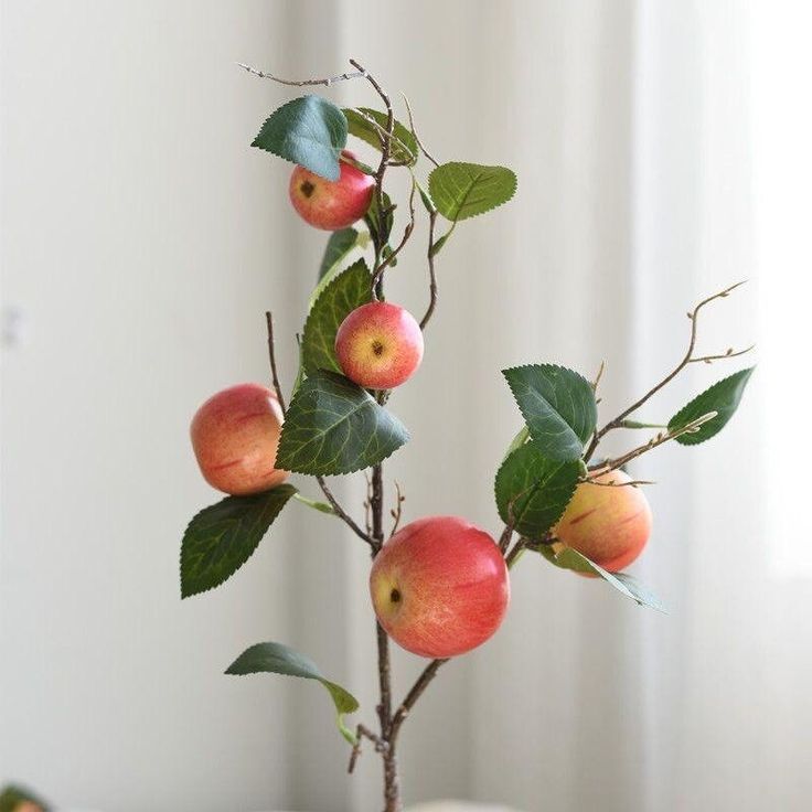 an apple tree with apples and leaves in a vase on a table next to a window