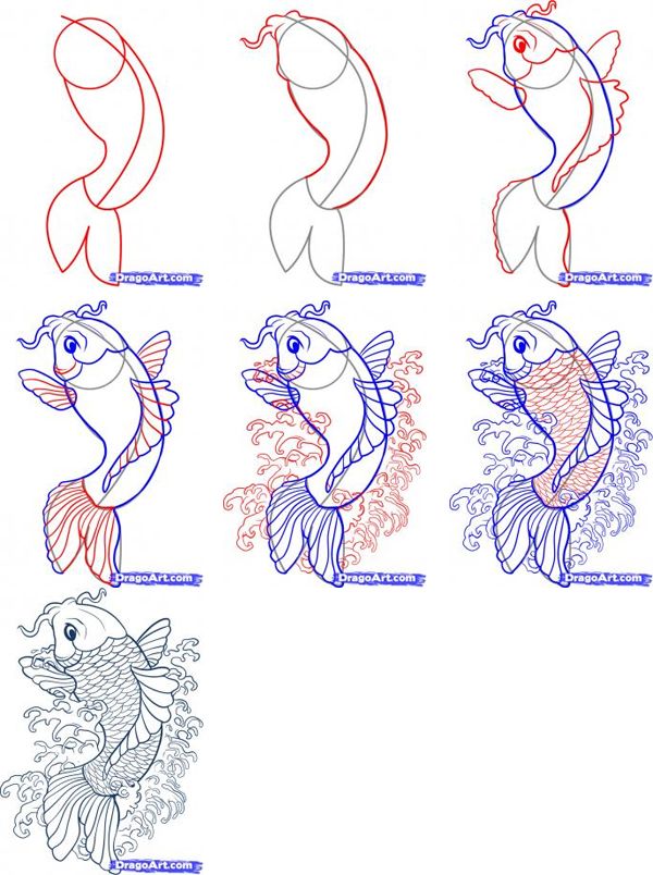 how to draw fish with different colors and shapes