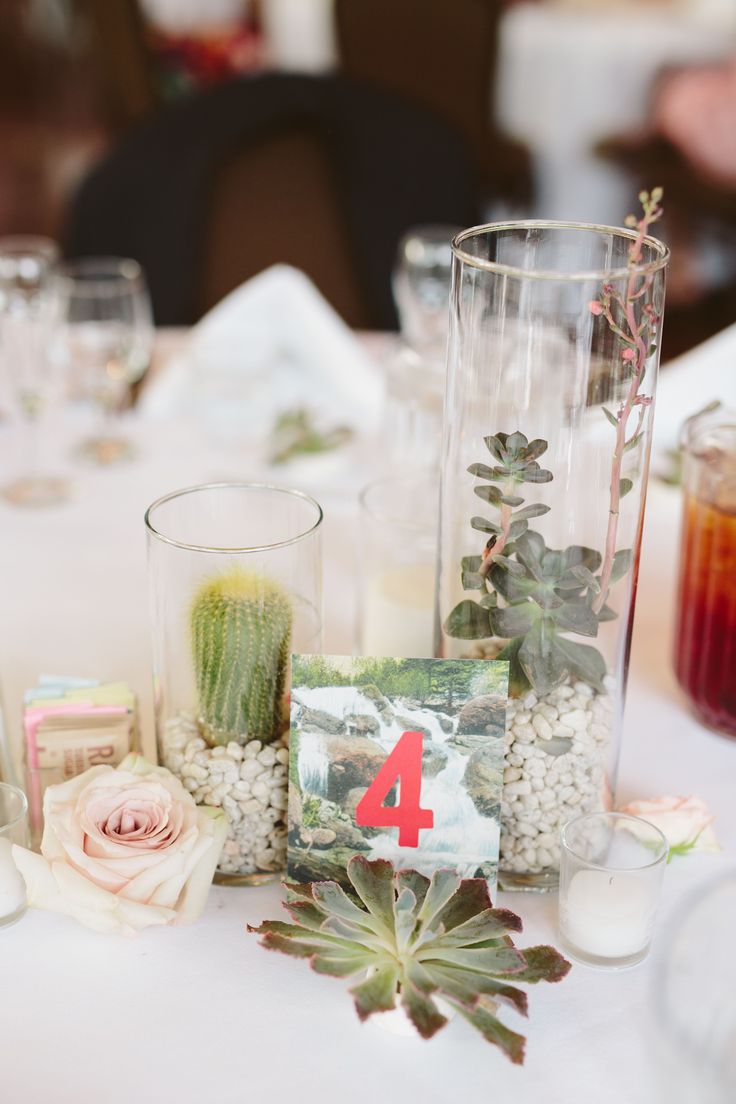 the table is set up with flowers and succulents for a wedding reception