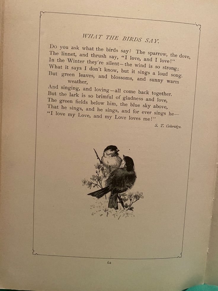 an old book with two birds sitting on it's back cover and the words what three birds say