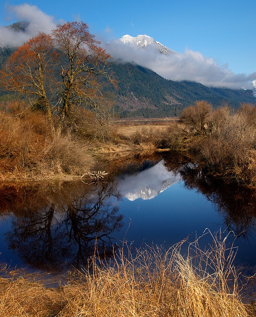 a small stream running through a dry grass covered field with mountains in the background on a sunny day