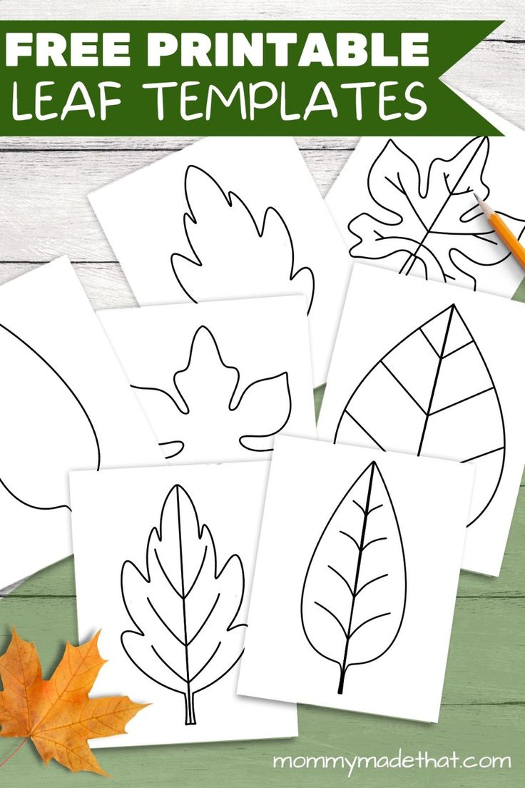 free printable leaf templates for kids to color and cut out with leaves on them