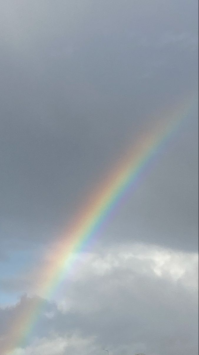 a rainbow appears to be in the sky