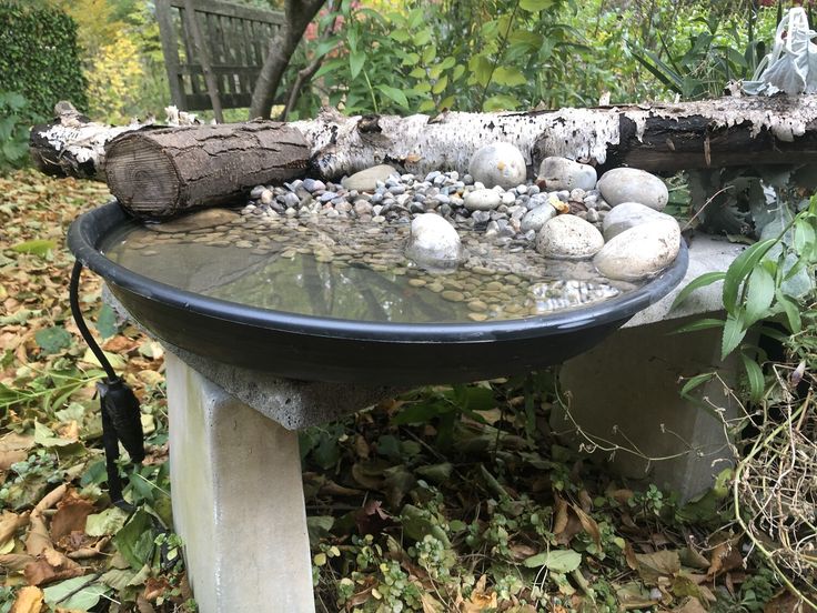 a bowl filled with water sitting on top of a table in the middle of leaves