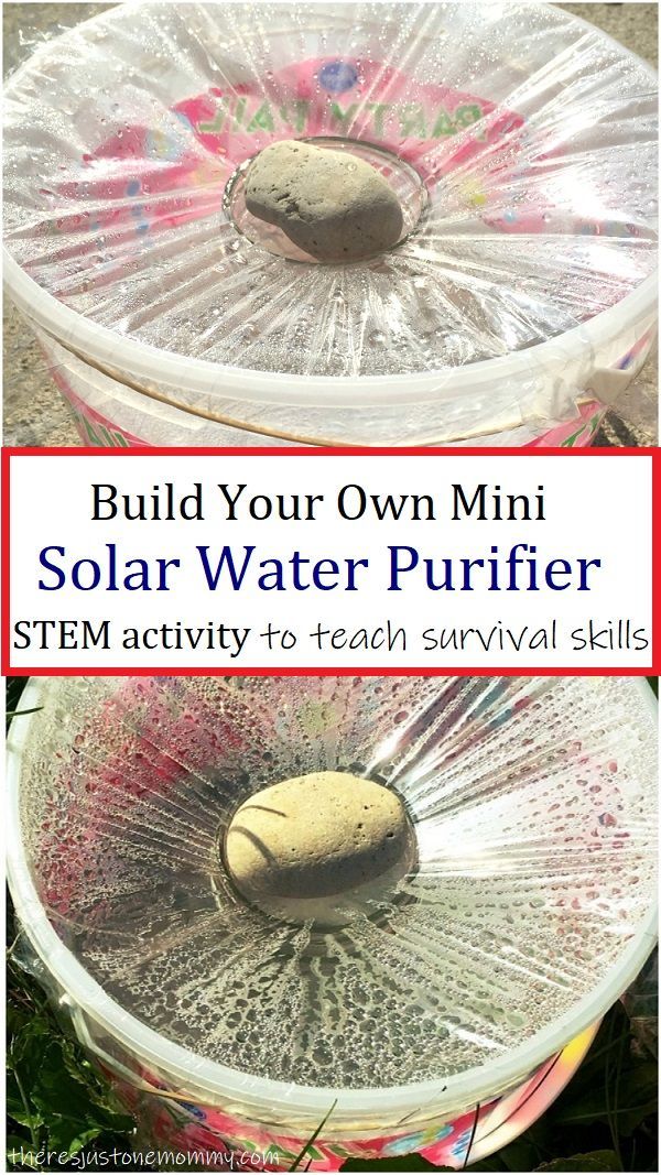 Kids Survival Skills, Solar Still, Vetenskapliga Experiment, Eco Construction, Off Grid Survival, Emergency Prepardness, Summer Science, Survival Skills Life Hacks, Emergency Preparedness Kit