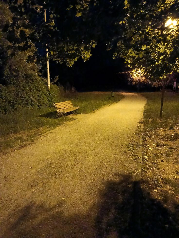 Calm Time Night Liminal Space, Creepy Night Aesthetic, Liminal Outdoors, Dark Liminal Spaces, Liminal Playground, Dreamcore Playground, Liminal Forest, Dark Playground, Liminal Nature