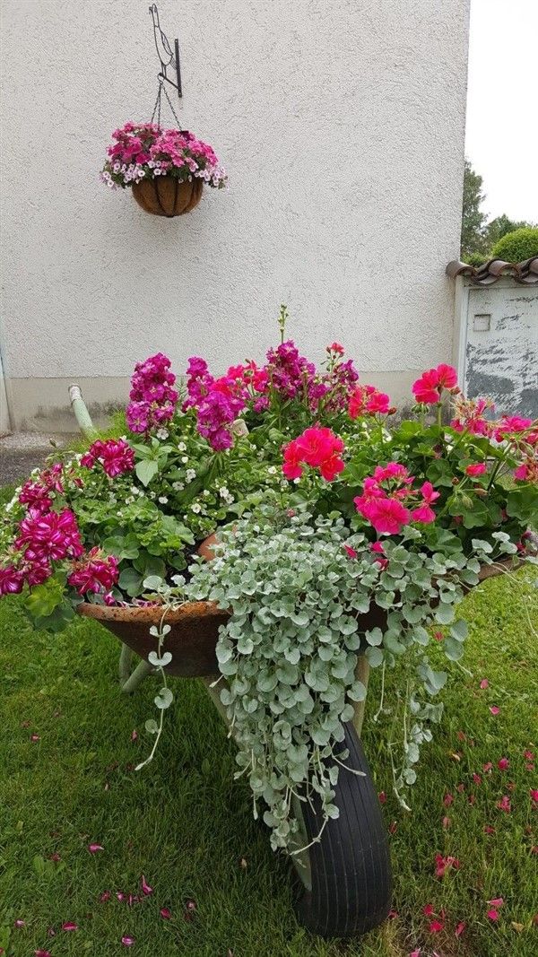 a garden with pink flowers and green grass