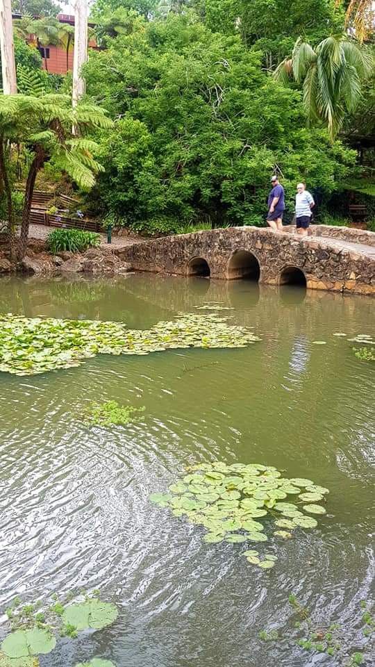 two people sitting on a stone bridge over a pond with lily pads in the water