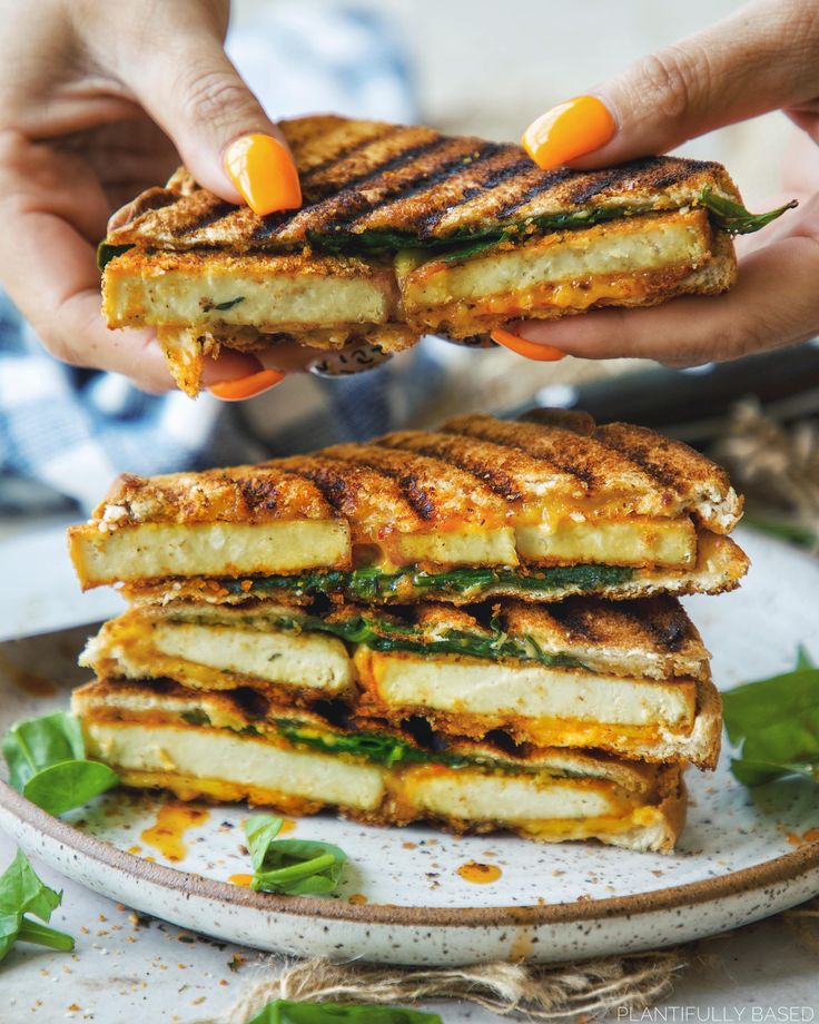 two hands holding up a grilled sandwich on a plate