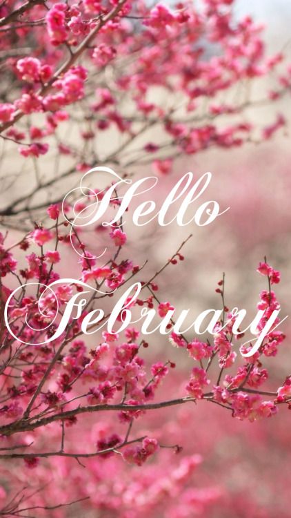 pink flowers with the words hello february