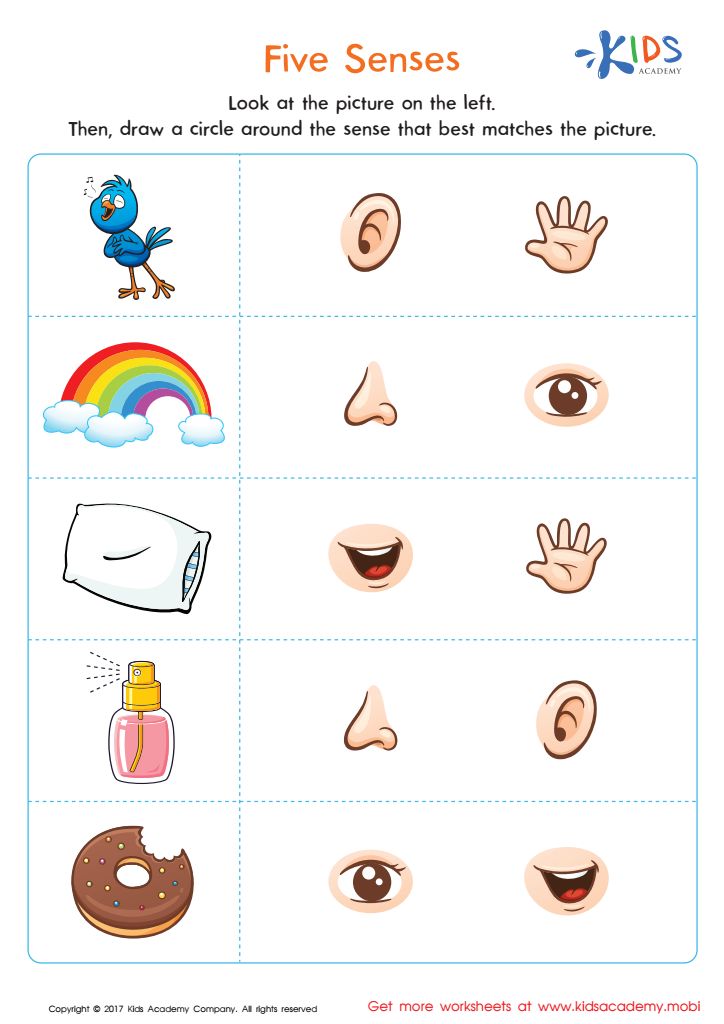 the five senses worksheet for children to learn how to read and understand their feelings