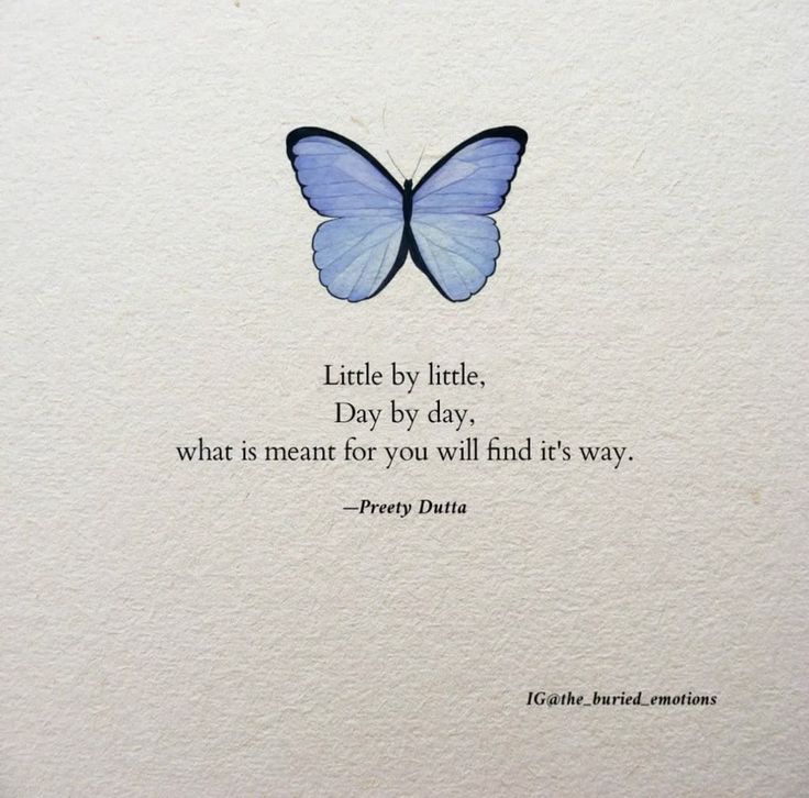 a blue butterfly sitting on top of a piece of paper with the quote little by little day by day, what is meant for you will find it's way