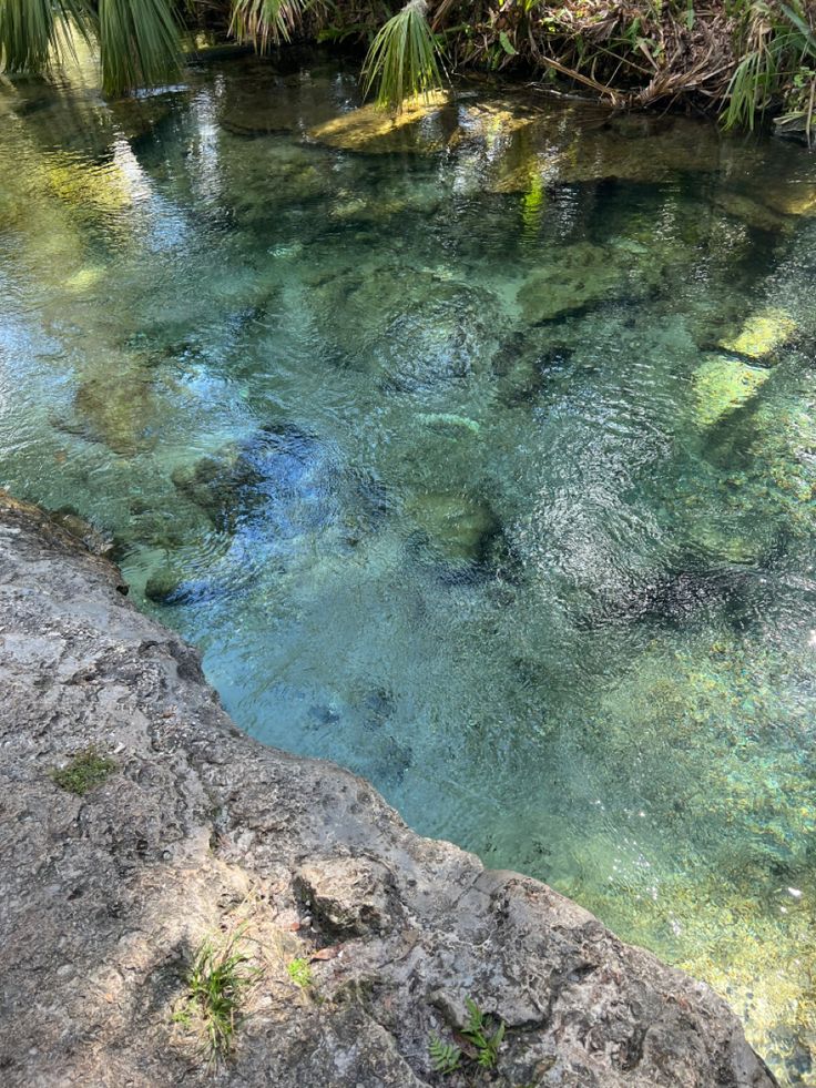 the water is crystal clear and blue in this riverbed area with rocks, palm trees, and green vegetation