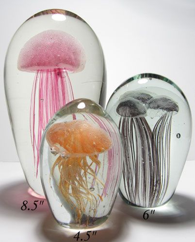 three glass vases with jellyfish in them