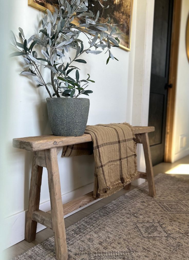 a potted plant sitting on top of a wooden bench next to a wall mounted painting