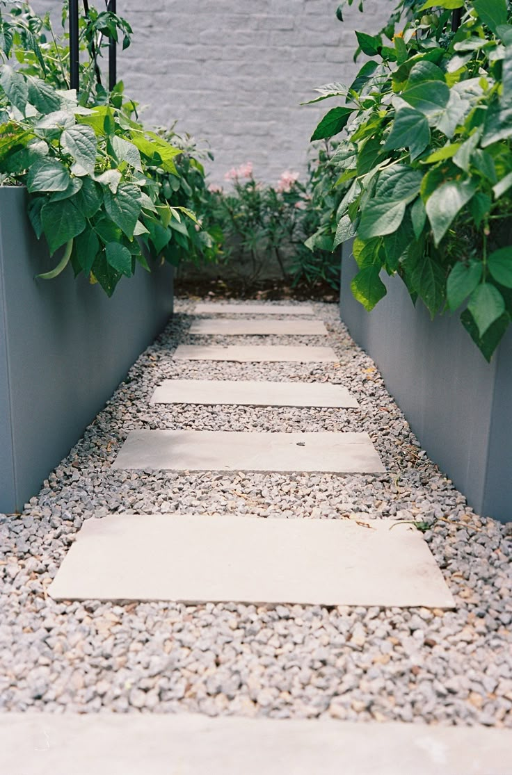 there are many plants in the planters on this walkway that is lined with gravel