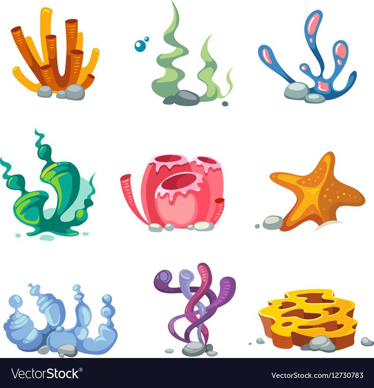 an underwater scene with corals, seaweed and other marine creatures on a white background