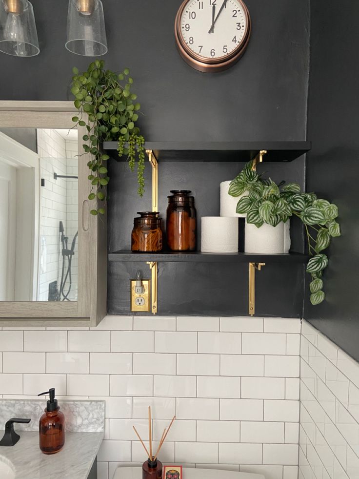 a bathroom with a sink, mirror and plants on the shelf above it's counter