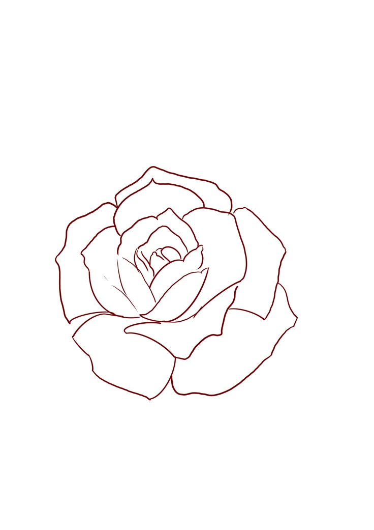 a drawing of a rose on a white background