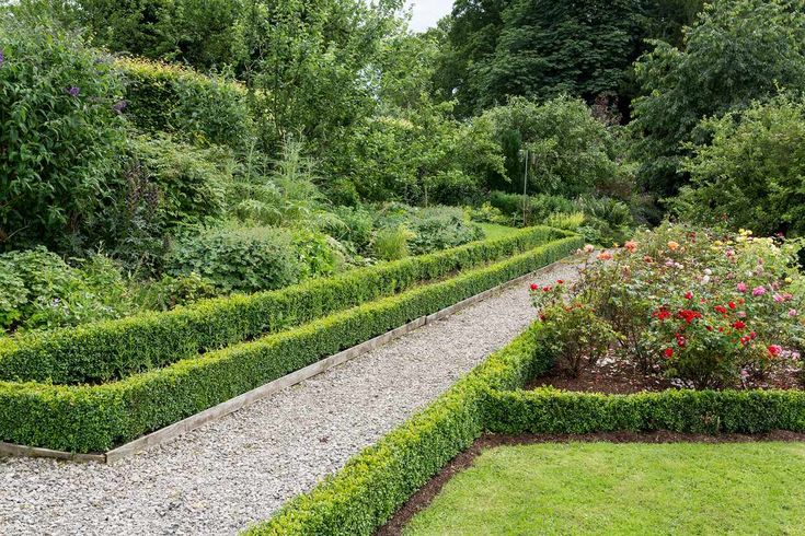 a garden with hedges and flowers in it