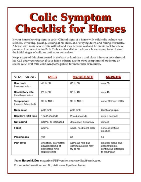 a flyer for a horse show with information about the horses and their names on it