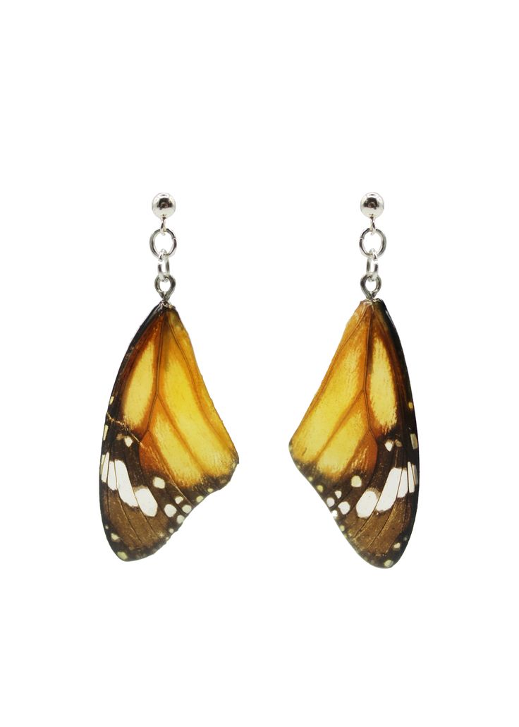 Resin coated yellow and brown monarch butterfly wing on dangly stud earrings. Crystal Furniture, Butterfly Live, Jacket Dress Set, Botanical Fashion, Real Butterfly Wings, 1000 Gifts, Real Butterfly, Wing Earrings, Recycled Leather