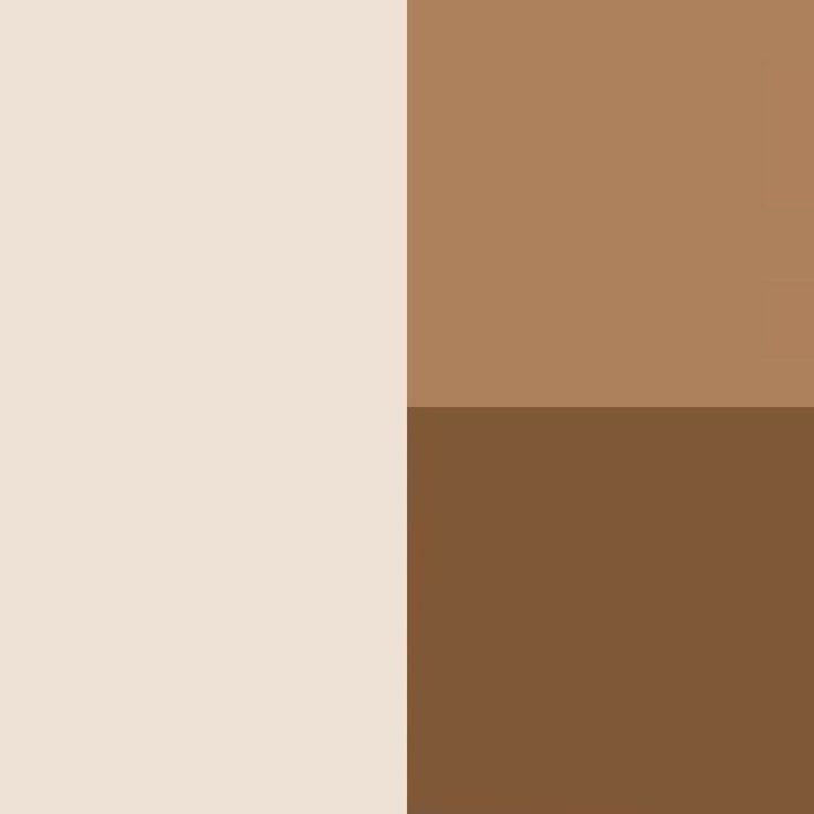 two different shades of brown and tan are in the same color scheme for this image