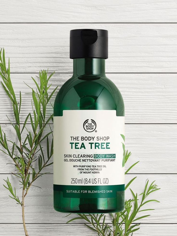 Body Care Must Haves, The Body Shop Tea Tree, Tea Tree Body Wash, Skin Care And Makeup, Body Shop Tea Tree, Shea Butter Hand Cream, Oil Body Wash, Buy Skincare, Body Fluid