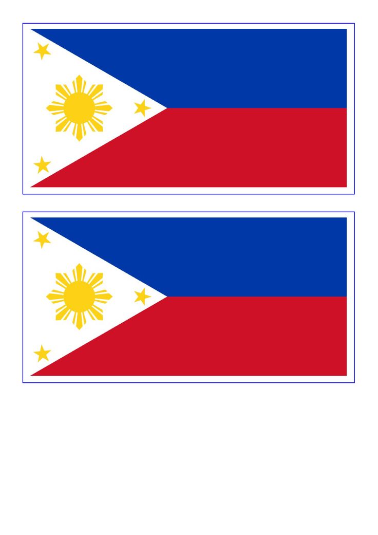 two flags with the colors of philippines and sunflowers on one side, both blue and red