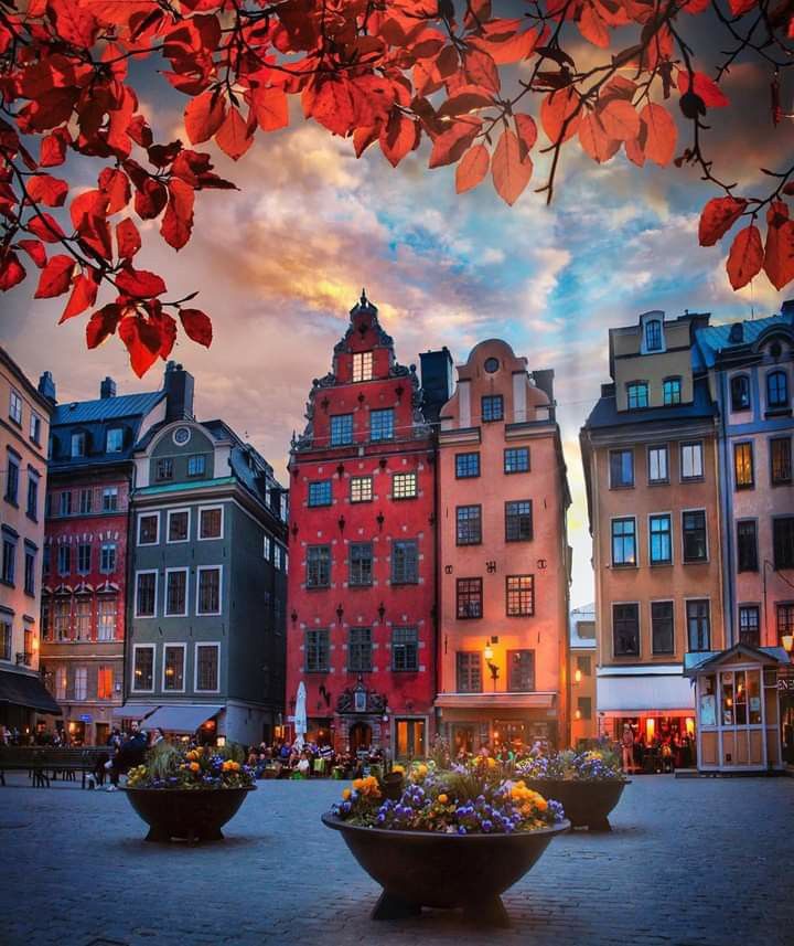 an image of a city square with flowers in the center and buildings on both sides