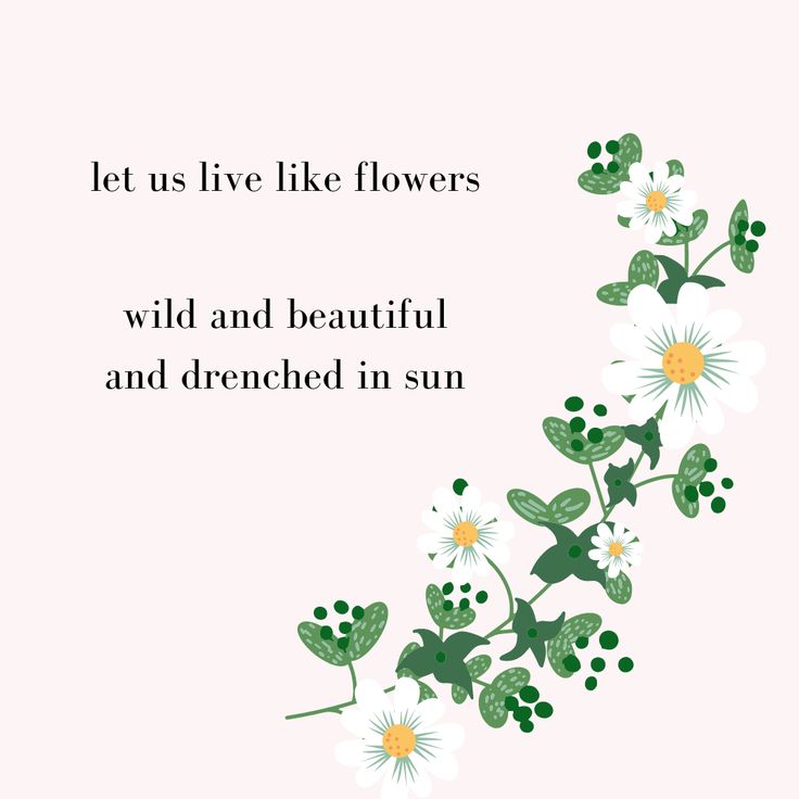 the words let us live like flowers wild and beautiful and drenched in sun