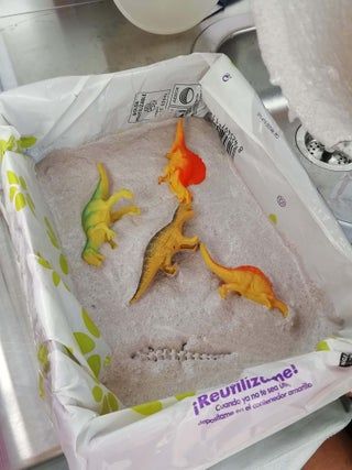 two plastic dinosaurs in a box on a table