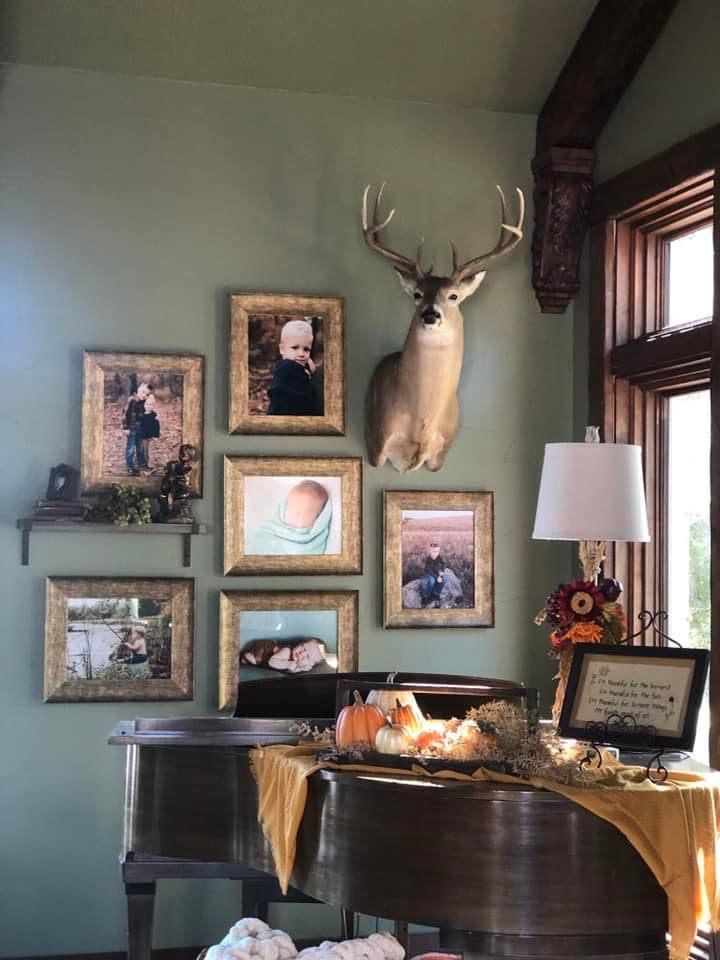 a living room with pictures on the wall and a deer head mounted to the wall