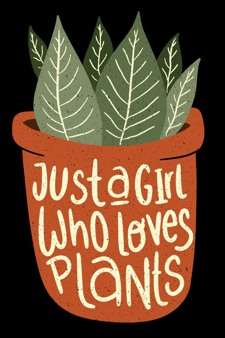 a potted plant with the words just girl who loves plants