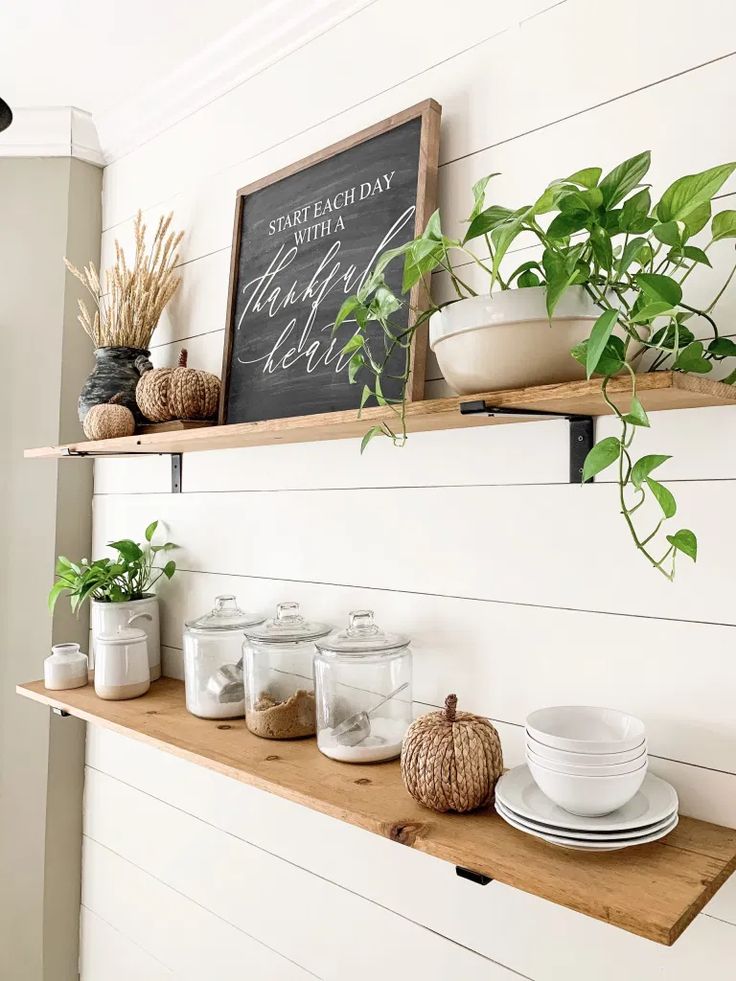 a shelf with some plants and plates on it