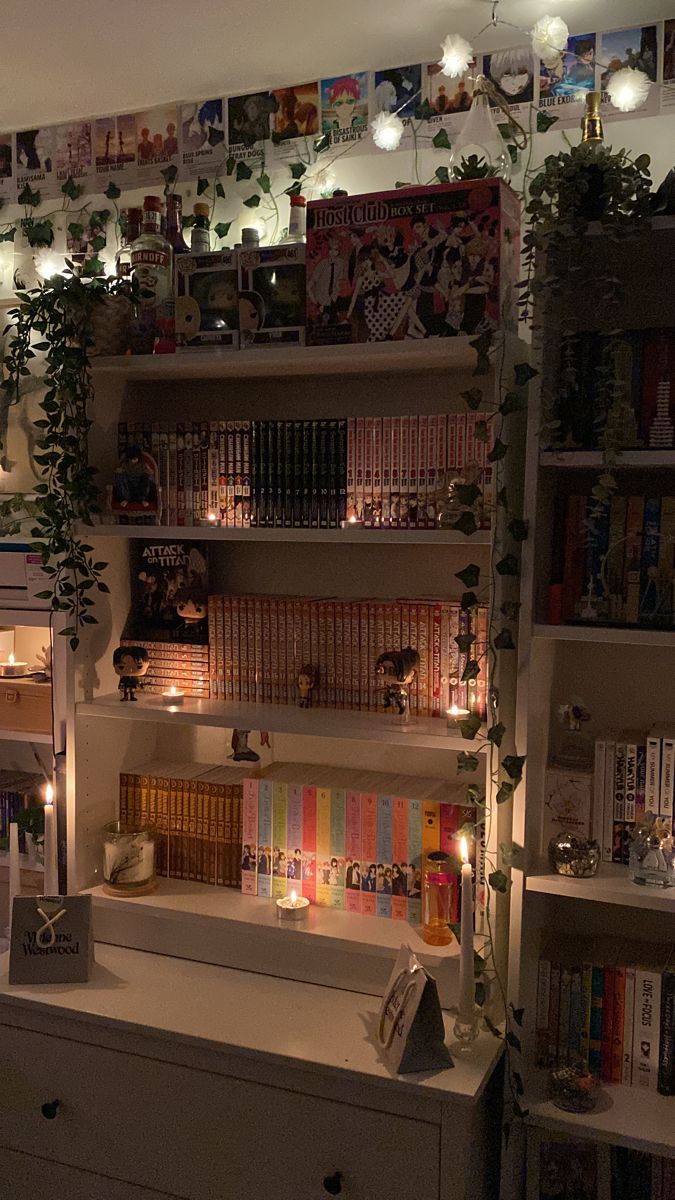 a room filled with lots of books and plants on top of shelves next to each other