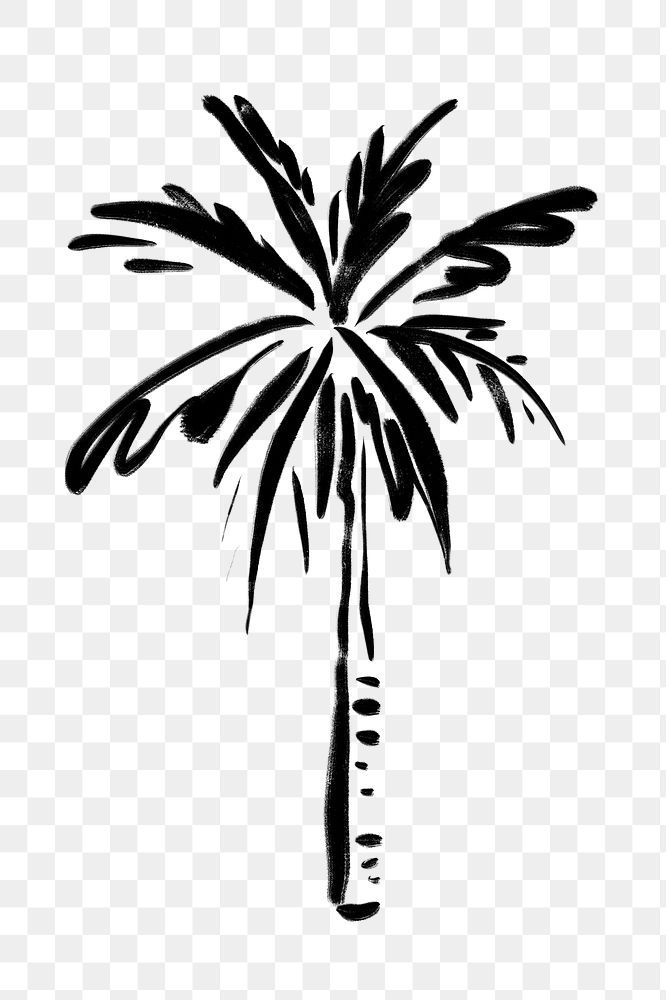 a black and white drawing of a palm tree on a transparent background, hd png