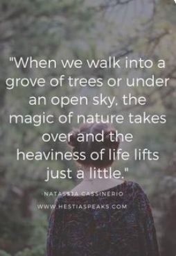 a person standing in the woods with a quote on it that says when we walk into a grove of trees or under an open sky, the magic of nature takes