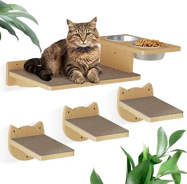 a cat sitting on top of a wooden shelf next to two bowls and a bowl