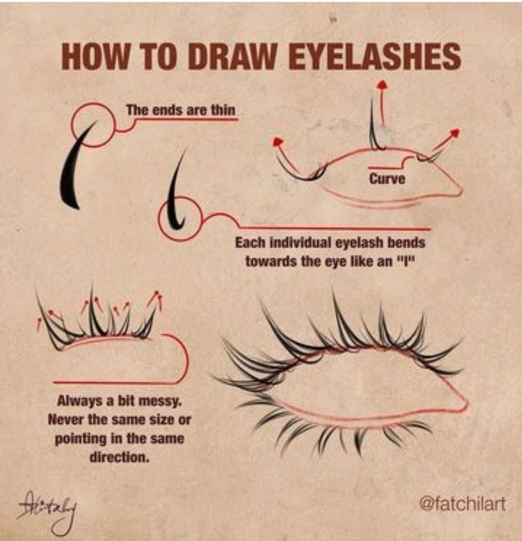 how to draw eyelashes for beginners with step by step instructions on the front and side